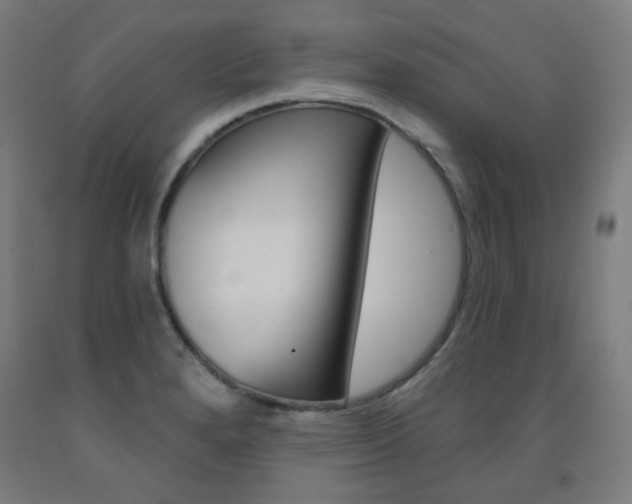 X0000093261280200709261610