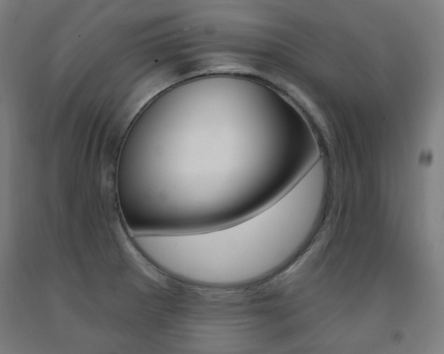 X0000093261281200709261610