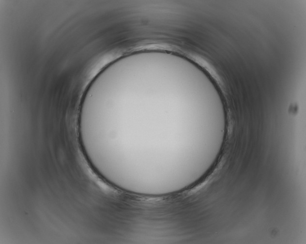 X0000093261282200709261610