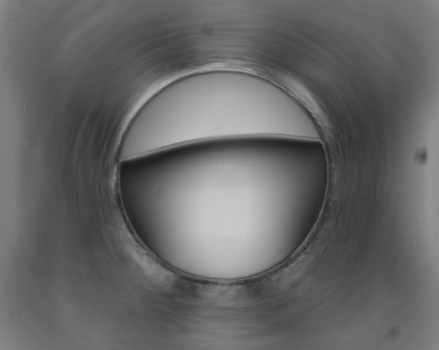 X0000093261284200709261610