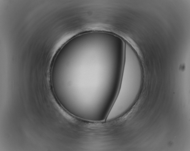 X0000093261285200709261610