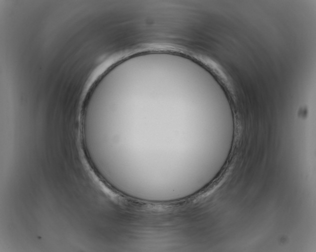 X0000093261286200709261610