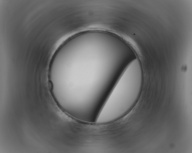 X0000093261288200709261610