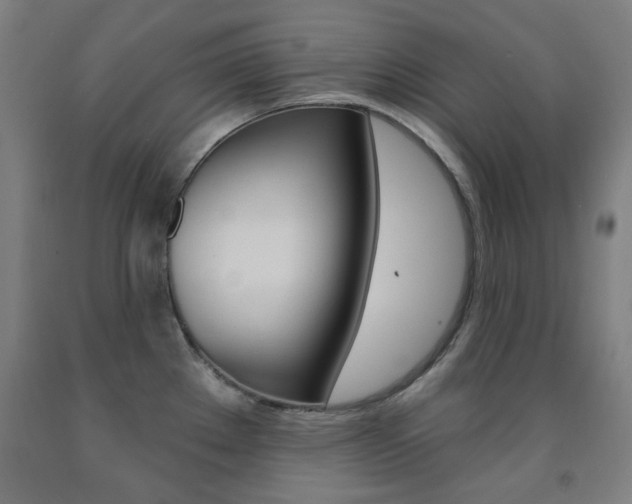 X0000093261289200709261610