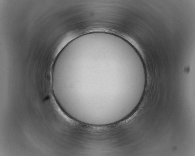 X0000093261290200709261610