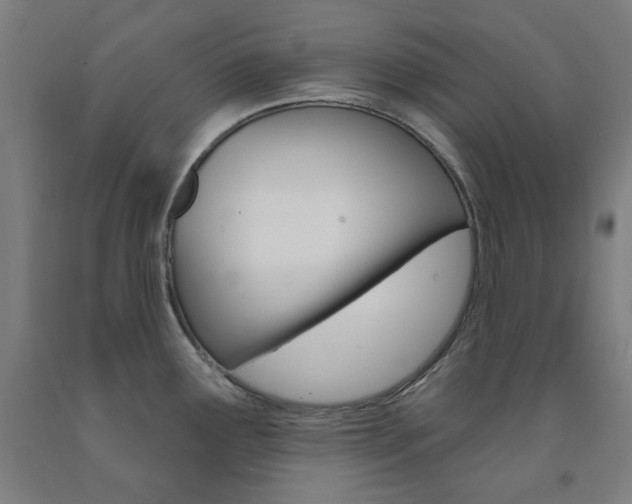 X0000093261291200709261610
