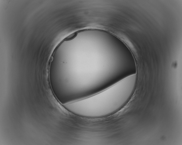 X0000093261292200709261610