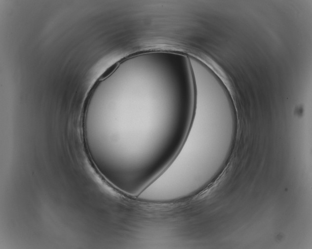 X0000093261293200709261610