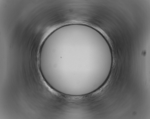 X0000093261294200709261610