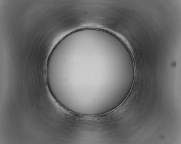 X0000093261295200709261610