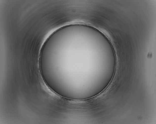 X0000093261296200709261610