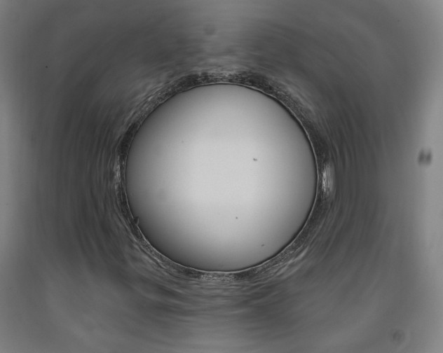 X0000093261299200709261609