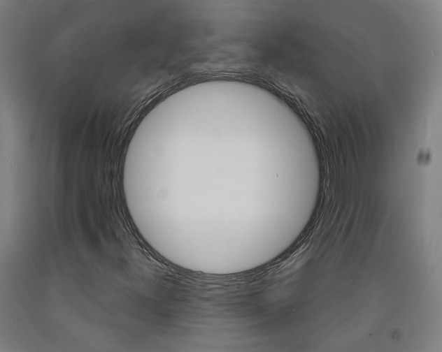 X0000093261300200709261609