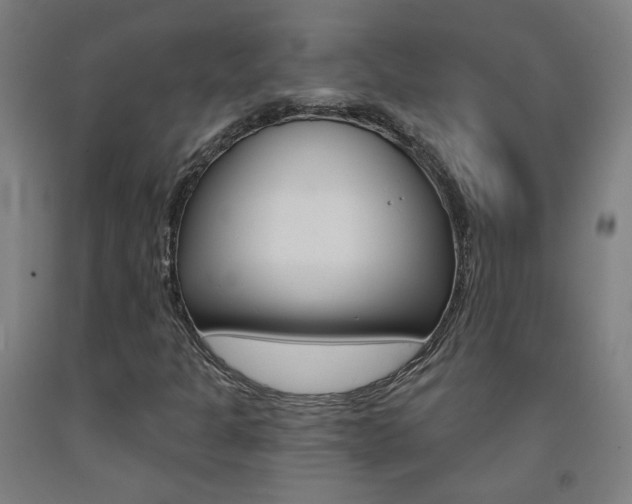 X0000093261301200709261609