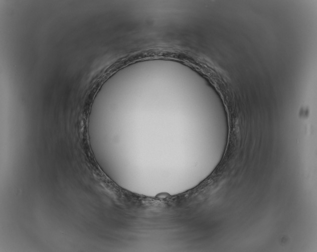 X0000093261302200709261609