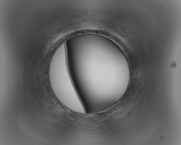 X0000093261303200709261609