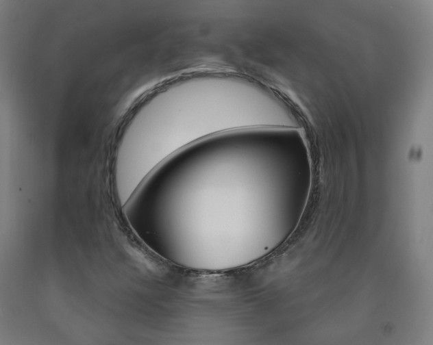 X0000093261304200709261609