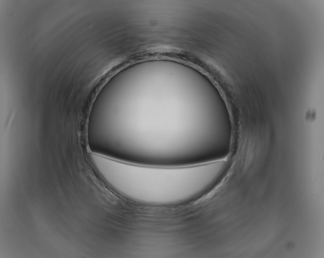 X0000093261305200709261609