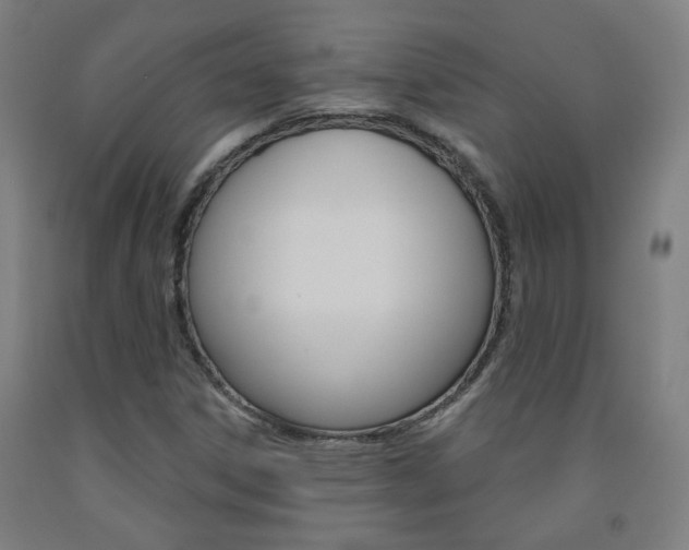X0000093261306200709261609