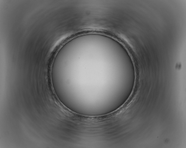 X0000093261307200709261609