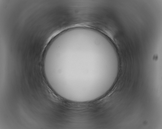 X0000093261308200709261609