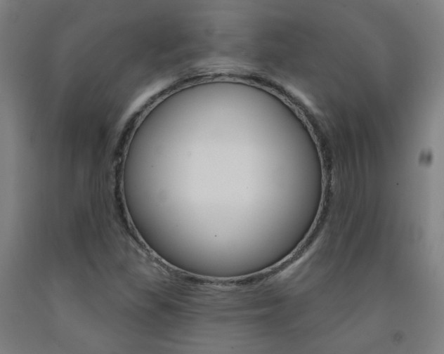 X0000093261309200709261609