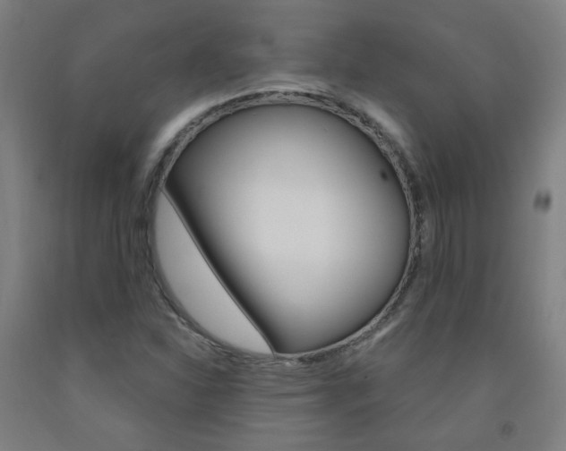 X0000093261310200709261609