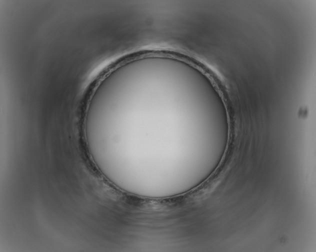 X0000093261311200709261609