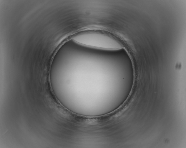 X0000093261313200709261609