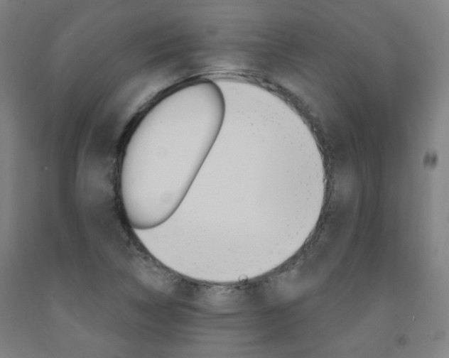 X0000093261314200709261609