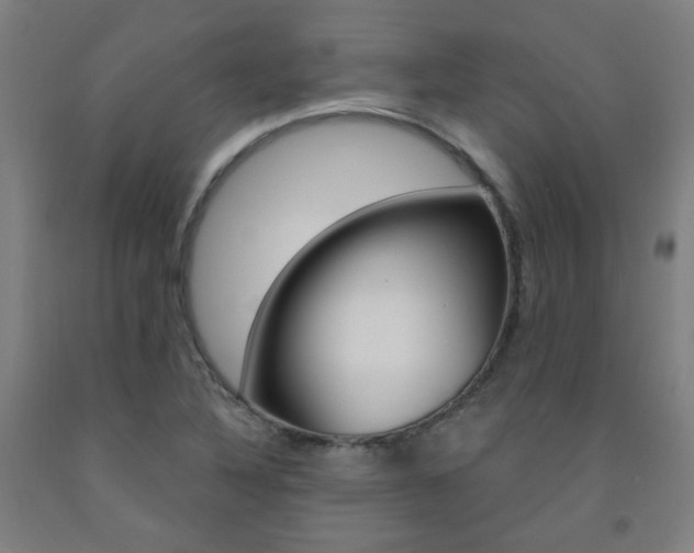 X0000093261316200709261609