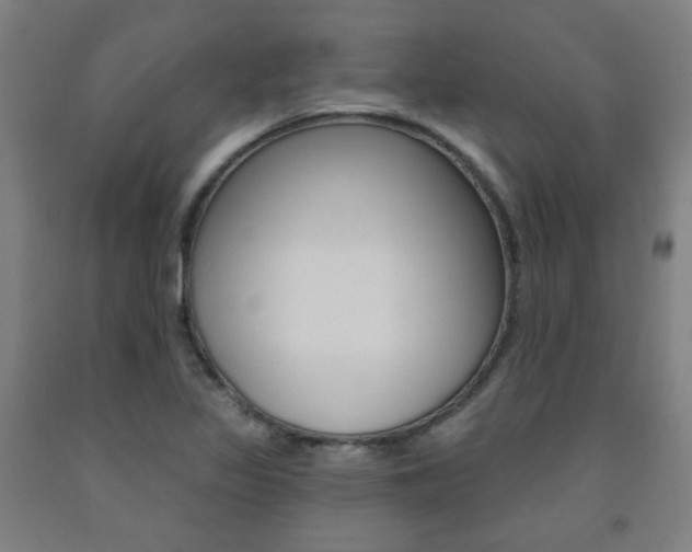 X0000093261317200709261609