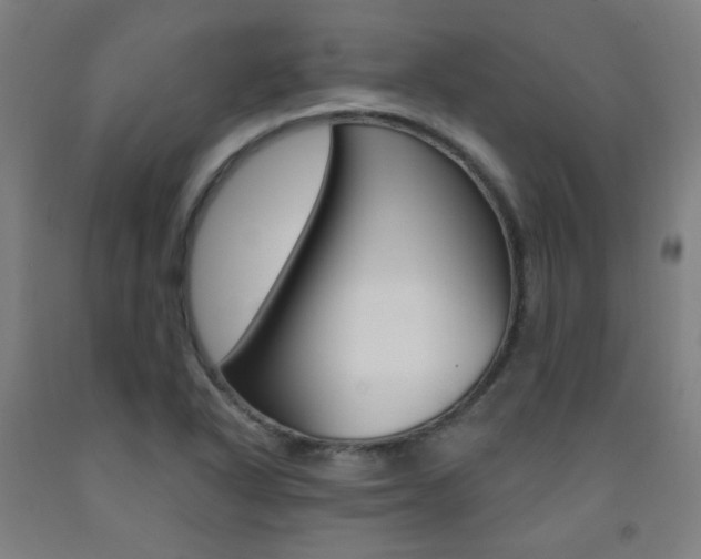 X0000093261318200709261609
