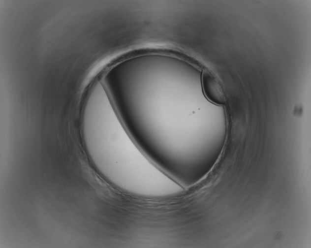 X0000093261319200709261609