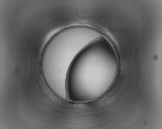 X0000093261320200709261609