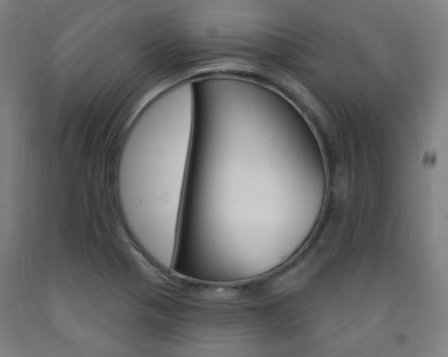 X0000093261321200709261609