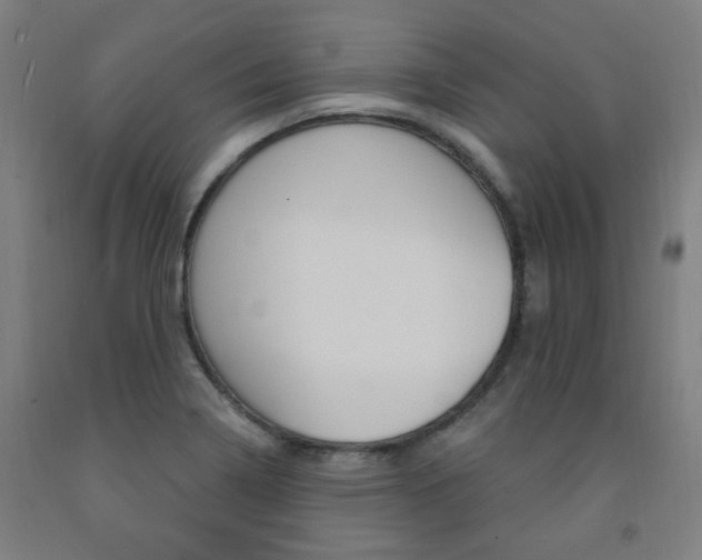 X0000093261322200709261609