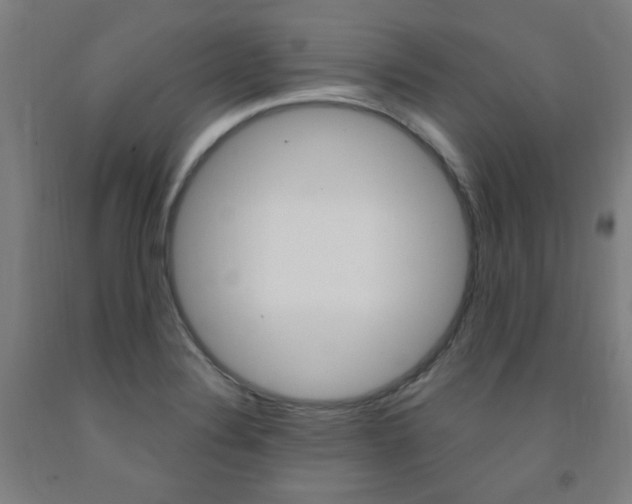 X0000093261324200709261609