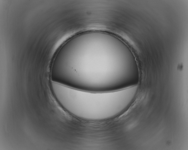 X0000093261325200709261610