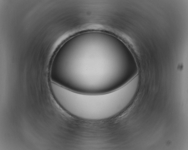 X0000093261326200709261610