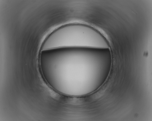 X0000093261327200709261610