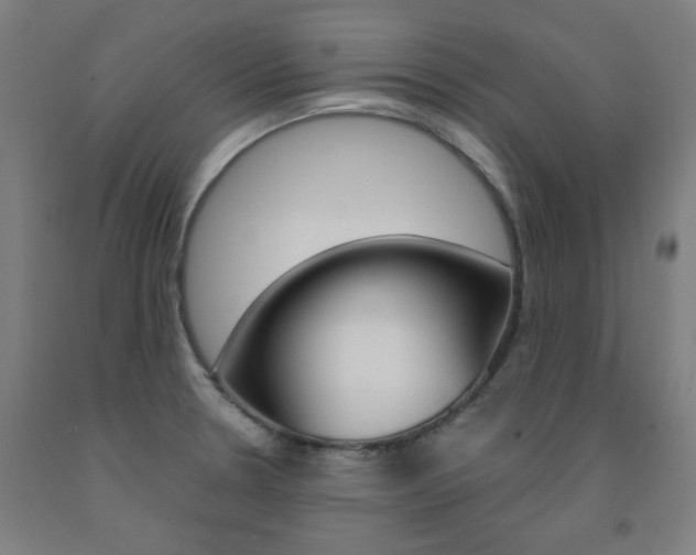 X0000093261330200709261610