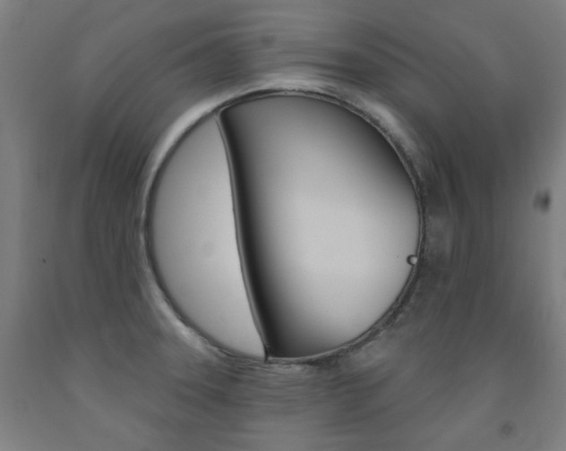 X0000093261331200709261610