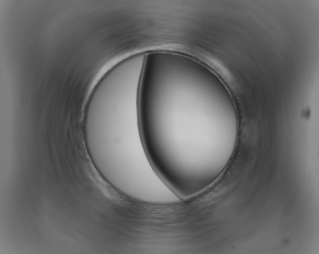 X0000093261332200709261610