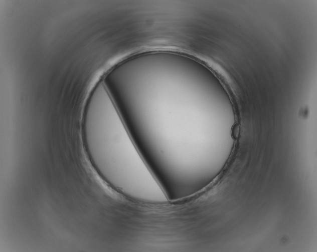 X0000093261333200709261610