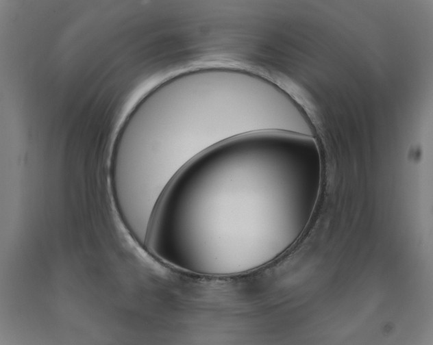 X0000093261334200709261610