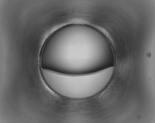 X0000093261335200709261610