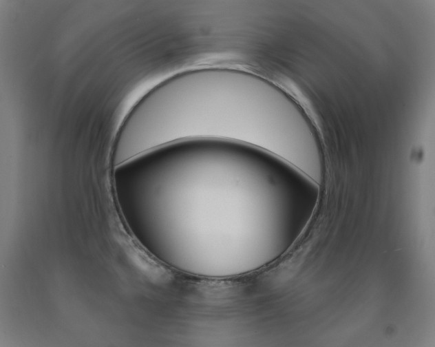 X0000093261336200709261610