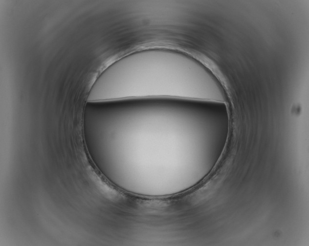 X0000093261337200709261610