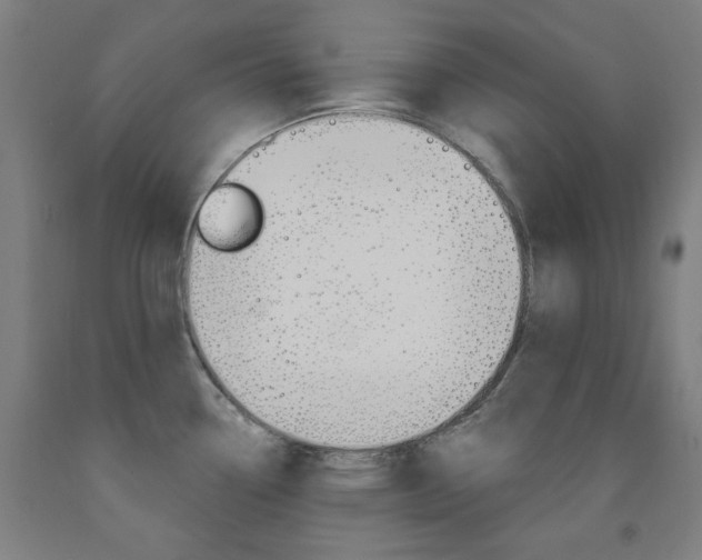 X0000093261338200709261610
